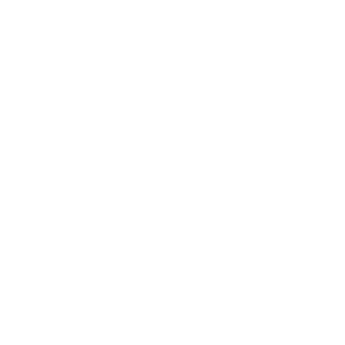 Logo da Cromotransfer, empresa industrial que utiliza o MentorWeb para desdobramento de metas.
