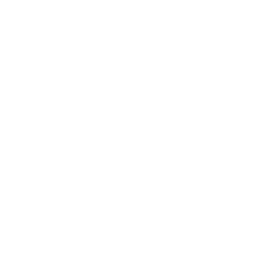 Logo da NEXT Transport, empresa logística que acompanha KPIs operacionais com o MentorWeb.
